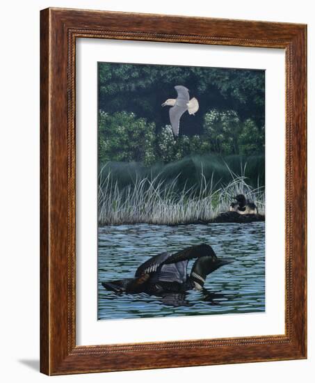 Loon Threat-Rusty Frentner-Framed Giclee Print