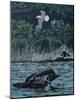 Loon Threat-Rusty Frentner-Mounted Giclee Print