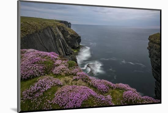 Loop Head, County Clare, Munster, Republic of Ireland, Europe-Carsten Krieger-Mounted Photographic Print