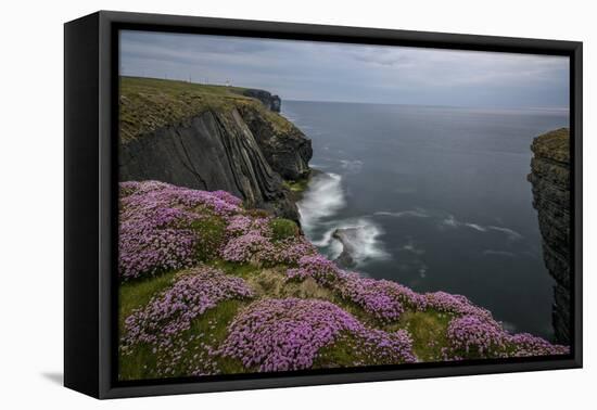 Loop Head, County Clare, Munster, Republic of Ireland, Europe-Carsten Krieger-Framed Premier Image Canvas