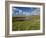 Loop Head, County Clare, Munster, Republic of Ireland, Europe-Carsten Krieger-Framed Photographic Print