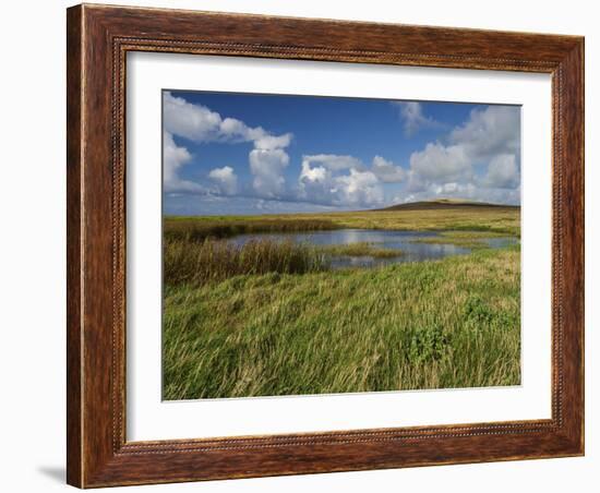 Loop Head, County Clare, Munster, Republic of Ireland, Europe-Carsten Krieger-Framed Photographic Print