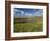 Loop Head, County Clare, Munster, Republic of Ireland, Europe-Carsten Krieger-Framed Photographic Print