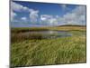 Loop Head, County Clare, Munster, Republic of Ireland, Europe-Carsten Krieger-Mounted Photographic Print