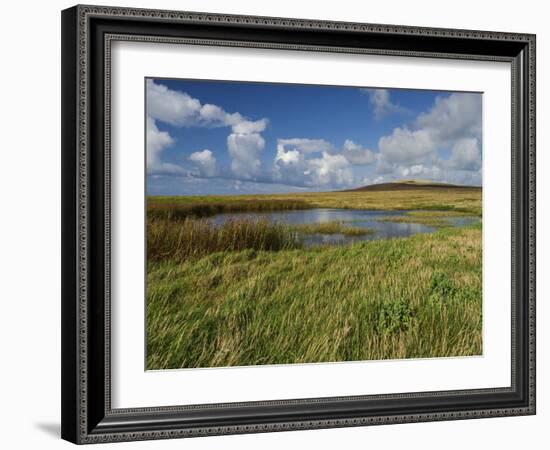 Loop Head, County Clare, Munster, Republic of Ireland, Europe-Carsten Krieger-Framed Photographic Print