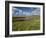 Loop Head, County Clare, Munster, Republic of Ireland, Europe-Carsten Krieger-Framed Photographic Print