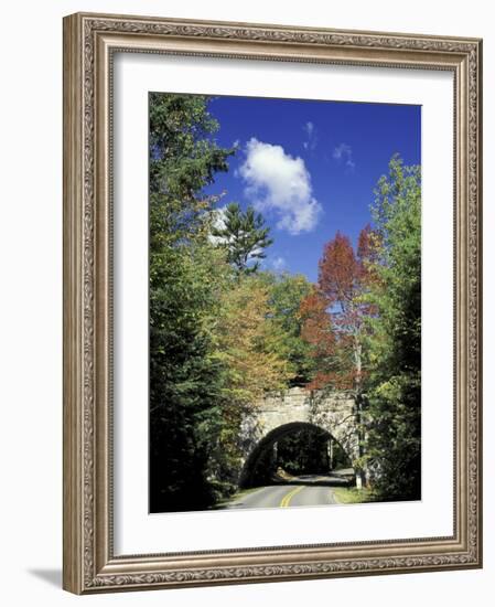 Loop road around Mt. Desert Island, Acadia National Park, Maine, USA-Adam Jones-Framed Photographic Print