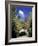 Loop road around Mt. Desert Island, Acadia National Park, Maine, USA-Adam Jones-Framed Photographic Print