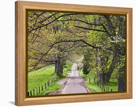 Loop Road in Cades Cove, Great Smoky Mountains National Park, Tennessee, USA-Adam Jones-Framed Premier Image Canvas