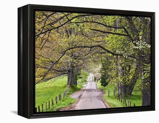 Loop Road in Cades Cove, Great Smoky Mountains National Park, Tennessee, USA-Adam Jones-Framed Premier Image Canvas