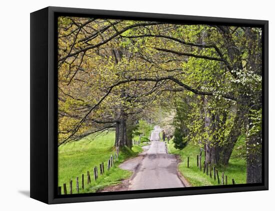 Loop Road in Cades Cove, Great Smoky Mountains National Park, Tennessee, USA-Adam Jones-Framed Premier Image Canvas