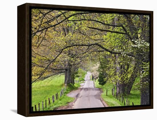 Loop Road in Cades Cove, Great Smoky Mountains National Park, Tennessee, USA-Adam Jones-Framed Premier Image Canvas