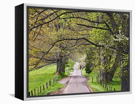 Loop Road in Cades Cove, Great Smoky Mountains National Park, Tennessee, USA-Adam Jones-Framed Premier Image Canvas