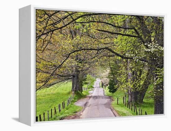 Loop Road in Cades Cove, Great Smoky Mountains National Park, Tennessee, USA-Adam Jones-Framed Premier Image Canvas