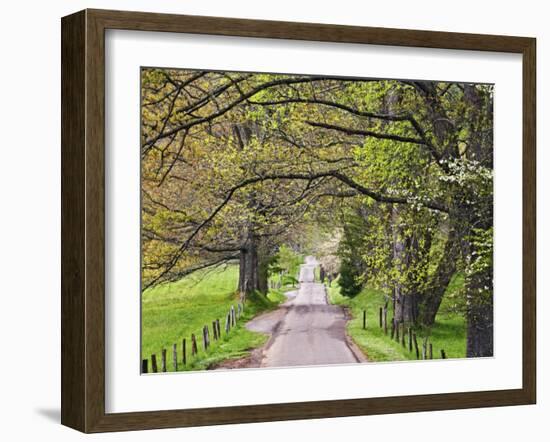 Loop Road in Cades Cove, Great Smoky Mountains National Park, Tennessee, USA-Adam Jones-Framed Photographic Print