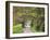 Loop Road in Cades Cove, Great Smoky Mountains National Park, Tennessee, USA-Adam Jones-Framed Photographic Print