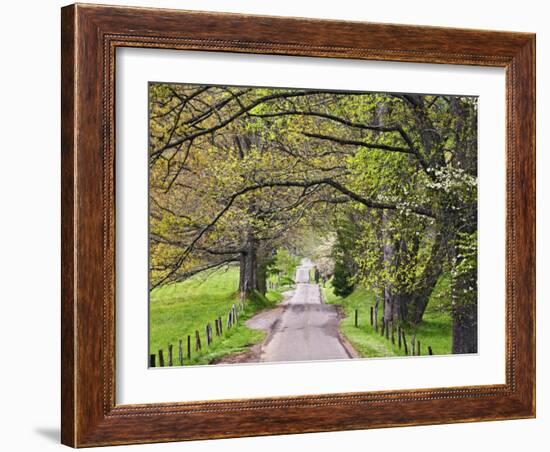 Loop Road in Cades Cove, Great Smoky Mountains National Park, Tennessee, USA-Adam Jones-Framed Photographic Print