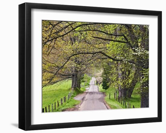Loop Road in Cades Cove, Great Smoky Mountains National Park, Tennessee, USA-Adam Jones-Framed Photographic Print