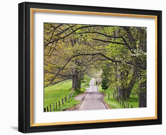 Loop Road in Cades Cove, Great Smoky Mountains National Park, Tennessee, USA-Adam Jones-Framed Photographic Print