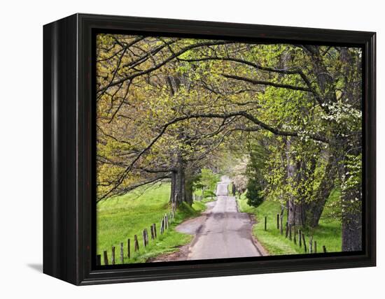 Loop Road in Cades Cove, Great Smoky Mountains National Park, Tennessee, USA-Adam Jones-Framed Premier Image Canvas