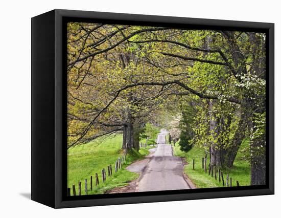 Loop Road in Cades Cove, Great Smoky Mountains National Park, Tennessee, USA-Adam Jones-Framed Premier Image Canvas