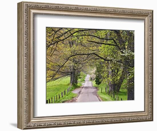 Loop Road in Cades Cove, Great Smoky Mountains National Park, Tennessee, USA-Adam Jones-Framed Photographic Print