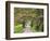 Loop Road in Cades Cove, Great Smoky Mountains National Park, Tennessee, USA-Adam Jones-Framed Photographic Print