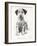 Loopy the Ugly Puppy-Cecil Aldin-Framed Photographic Print