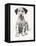 Loopy the Ugly Puppy-Cecil Aldin-Framed Premier Image Canvas