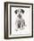 Loopy the Ugly Puppy-Cecil Aldin-Framed Photographic Print