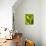 Loose-Leaf Lettuce-Dirk Olaf Wexel-Photographic Print displayed on a wall