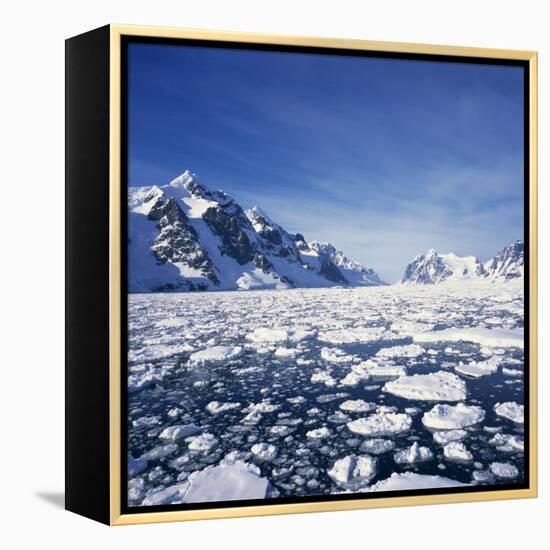 Loose Pack Ice in the Sea, with the Antarctic Peninsula in the Background, Antarctica-Geoff Renner-Framed Premier Image Canvas