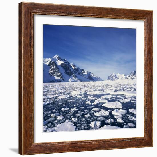 Loose Pack Ice in the Sea, with the Antarctic Peninsula in the Background, Antarctica-Geoff Renner-Framed Photographic Print