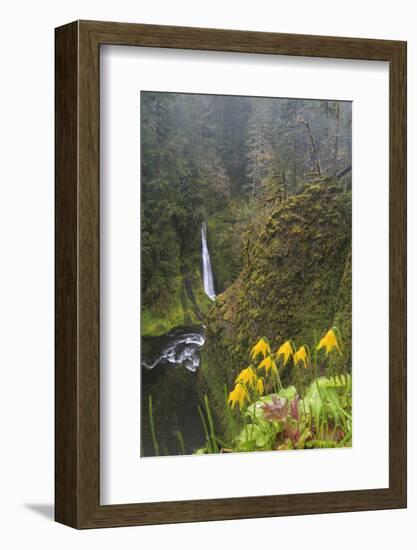 Loowit Falls in Forest Scenery, Columbia Gorge, Oregon, USA-Gary Luhm-Framed Photographic Print