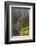 Loowit Falls in Forest Scenery, Columbia Gorge, Oregon, USA-Gary Luhm-Framed Photographic Print