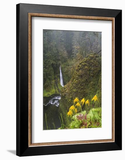 Loowit Falls in Forest Scenery, Columbia Gorge, Oregon, USA-Gary Luhm-Framed Photographic Print