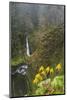 Loowit Falls in Forest Scenery, Columbia Gorge, Oregon, USA-Gary Luhm-Mounted Photographic Print