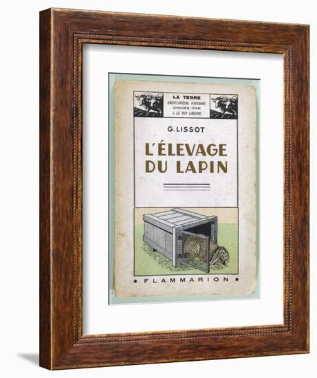 Lop-Eared Rabbit Emerges from Its Hutch-null-Framed Art Print