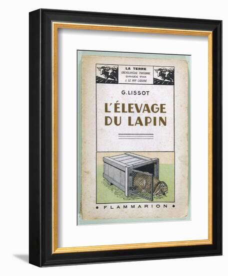 Lop-Eared Rabbit Emerges from Its Hutch-null-Framed Art Print