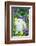 Lop Rabbit-null-Framed Photographic Print