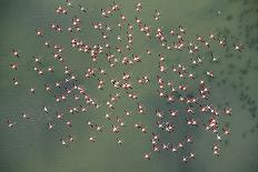 Aerial View of Marshes with Seaweed Exposed at Low Tide, Bahía De Cádiz Np, Andalusia, Spain-López-Photographic Print