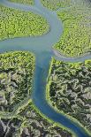 Aerial View of Marshes with Seaweed Exposed at Low Tide, Bahía De Cádiz Np, Andalusia, Spain-López-Photographic Print