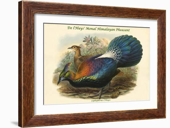 Lophophorus L'Huysi - De L'Huys' Monal Himalayan Pheasant-John Gould-Framed Art Print