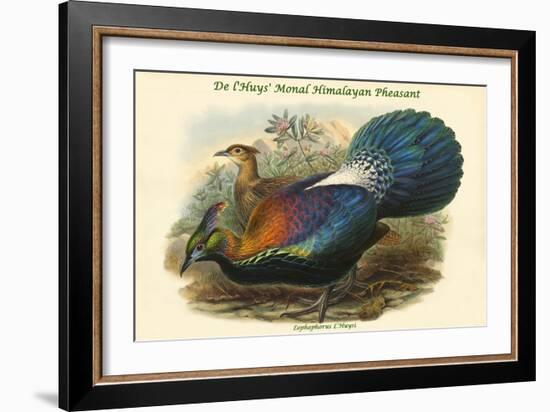 Lophophorus L'Huysi - De L'Huys' Monal Himalayan Pheasant-John Gould-Framed Art Print