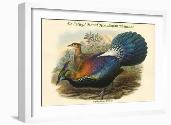 Lophophorus L'Huysi - De L'Huys' Monal Himalayan Pheasant-John Gould-Framed Art Print