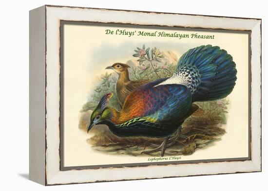 Lophophorus L'Huysi - De L'Huys' Monal Himalayan Pheasant-John Gould-Framed Stretched Canvas