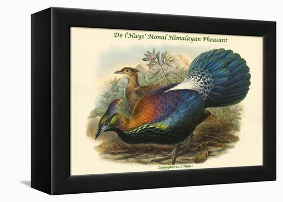 Lophophorus L'Huysi - De L'Huys' Monal Himalayan Pheasant-John Gould-Framed Stretched Canvas