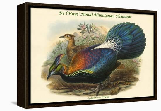 Lophophorus L'Huysi - De L'Huys' Monal Himalayan Pheasant-John Gould-Framed Stretched Canvas