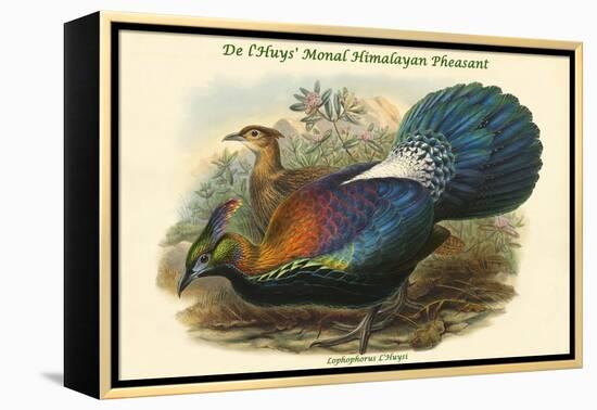 Lophophorus L'Huysi - De L'Huys' Monal Himalayan Pheasant-John Gould-Framed Stretched Canvas