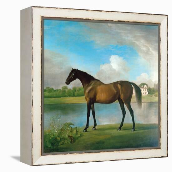 Lord Bolingbroke's Brood Mare in the Grounds of Lydiard Park, Wiltshire, C.1764-66-George Stubbs-Framed Premier Image Canvas